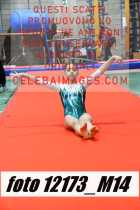 12173_M14-