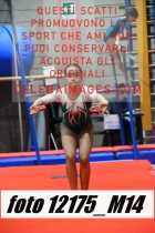 12175_M14-