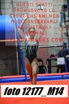 12177_M14-
