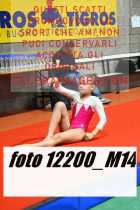 12200_M14-