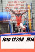 12208_M14-