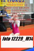 12229_M14-