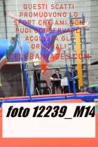 12239_M14-