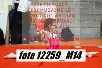 12259_M14-