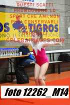 12262_M14-