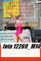 12269_M14-