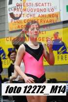12272_M14-