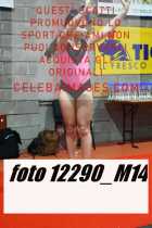 12290_M14-