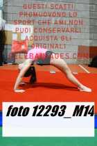 12293_M14-