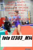 12303_M14-