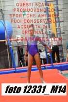 12331_M14-