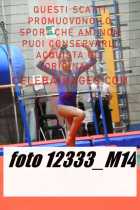 12333_M14-