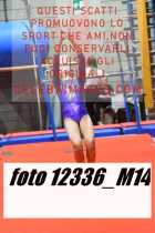12336_M14-