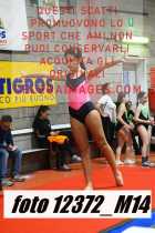 12372_M14-