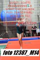 12387_M14-
