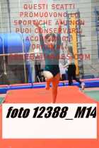 12388_M14-
