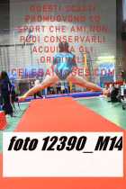12390_M14-