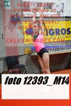 12393_M14-