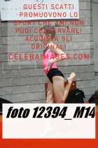 12394_M14-