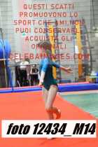 12434_M14-