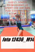 12436_M14-
