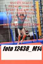 12438_M14-