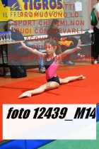 12439_M14-