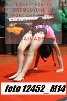 12452_M14-