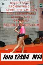 12464_M14-