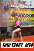 12481_M14-