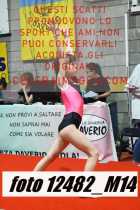 12482_M14-