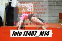 12487_M14-