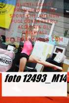 12493_M14-