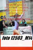 12503_M14-