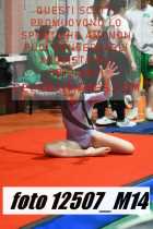 12507_M14-