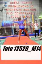 12520_M14-