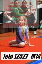 12527_M14-