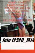 12528_M14-