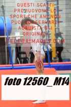 12560_M14-