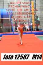 12567_M14-