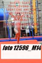 12596_M14-