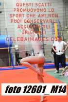 12601_M14-