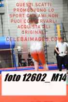 12602_M14-