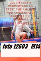 12603_M14-