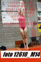 12610_M14-