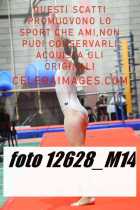 12628_M14-