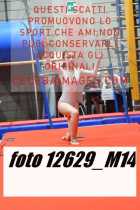 12629_M14-