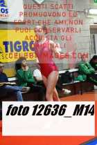 12636_M14-