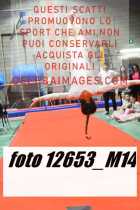 12653_M14-