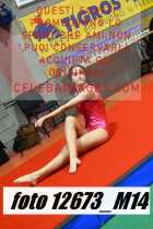 12673_M14-